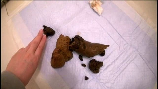小中学校ずーと学級委員！育ちの良いお嬢様の臭ーい健康大便 サンプル画像 7