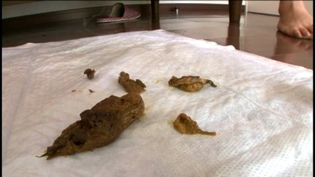 大塚ウンチガールズ脱糞3　21歳・・・乙女の排泄5人に2人は超変態 サンプル画像 4