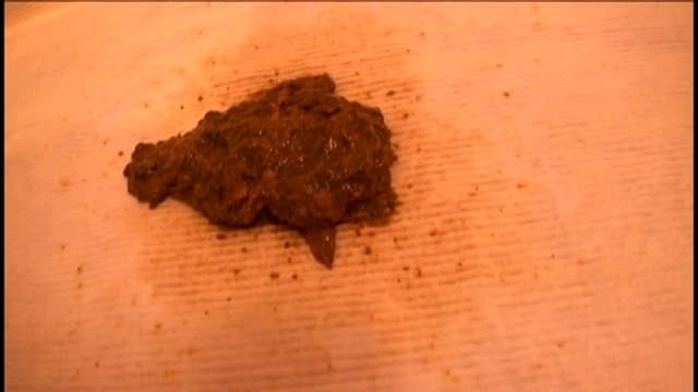 172センチ モデル系 いけてるお姉さんの魅惑の大便生活（臭いです。） サンプル画像 2
