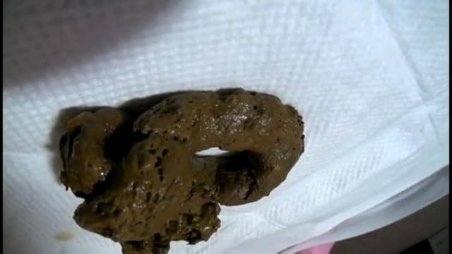 可愛くて優しくてお人好しな普通の女の子の健康日常便 サンプル画像 14