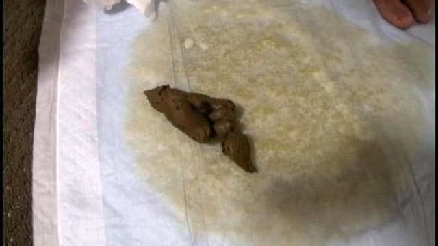 可愛くて優しくてお人好しな普通の女の子の健康日常便 サンプル画像 3