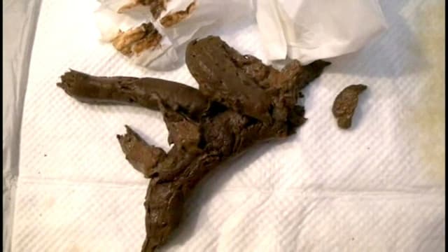 可愛くて優しくてお人好しな普通の女の子の健康日常便 サンプル画像 6