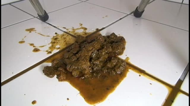 『大塚式』排便鑑賞プログラム ～面接で我慢出来なかった5人の女～ サンプル画像 9