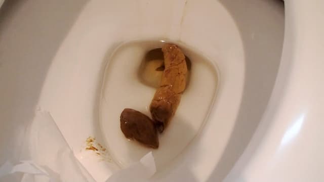 自撮り大小便20回の記録 サンプル画像 5