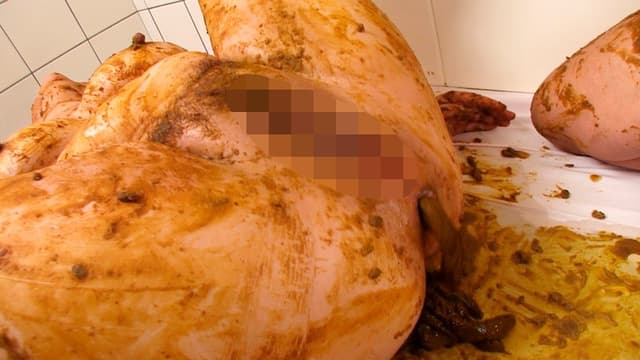 ぽちゃスカ大便せっくす サンプル画像 16