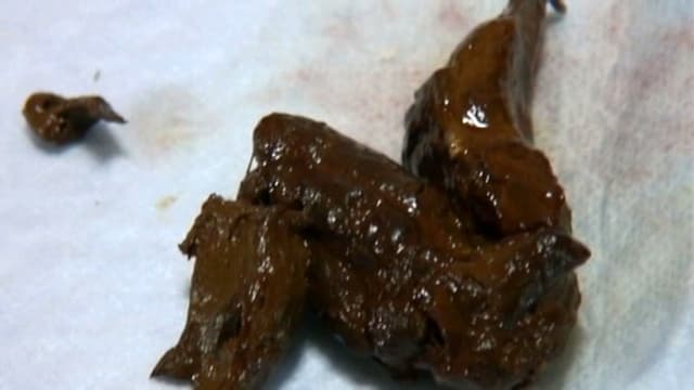本気グソ！！リクルートスーツの素人娘たち 極太ウンコで朝食チェック サンプル画像 20