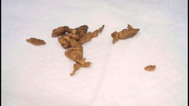 素人娘の極太ウンコ！！ 現役女子大生の恥ずかしい排泄姿を初公開！！ サンプル画像 5